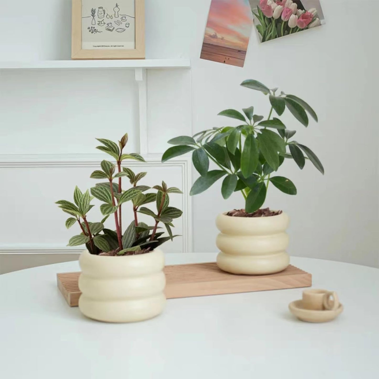 Ceramic Plant Pot Indoor / Beige / 4.7inch / 4.5 Inch