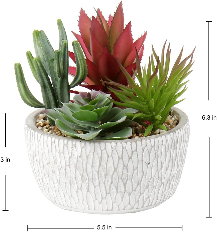 Small Fake Plants Assorted Faux Succulents in Pots Realistic Succulents Plants / Succulent #06