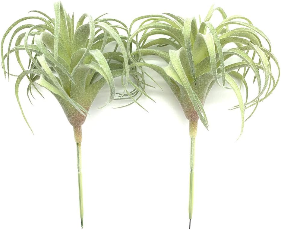 Artificial Succulents Plants Real Touch Lifelike Succulants Plants / Flocking Air Plant / Set of 2