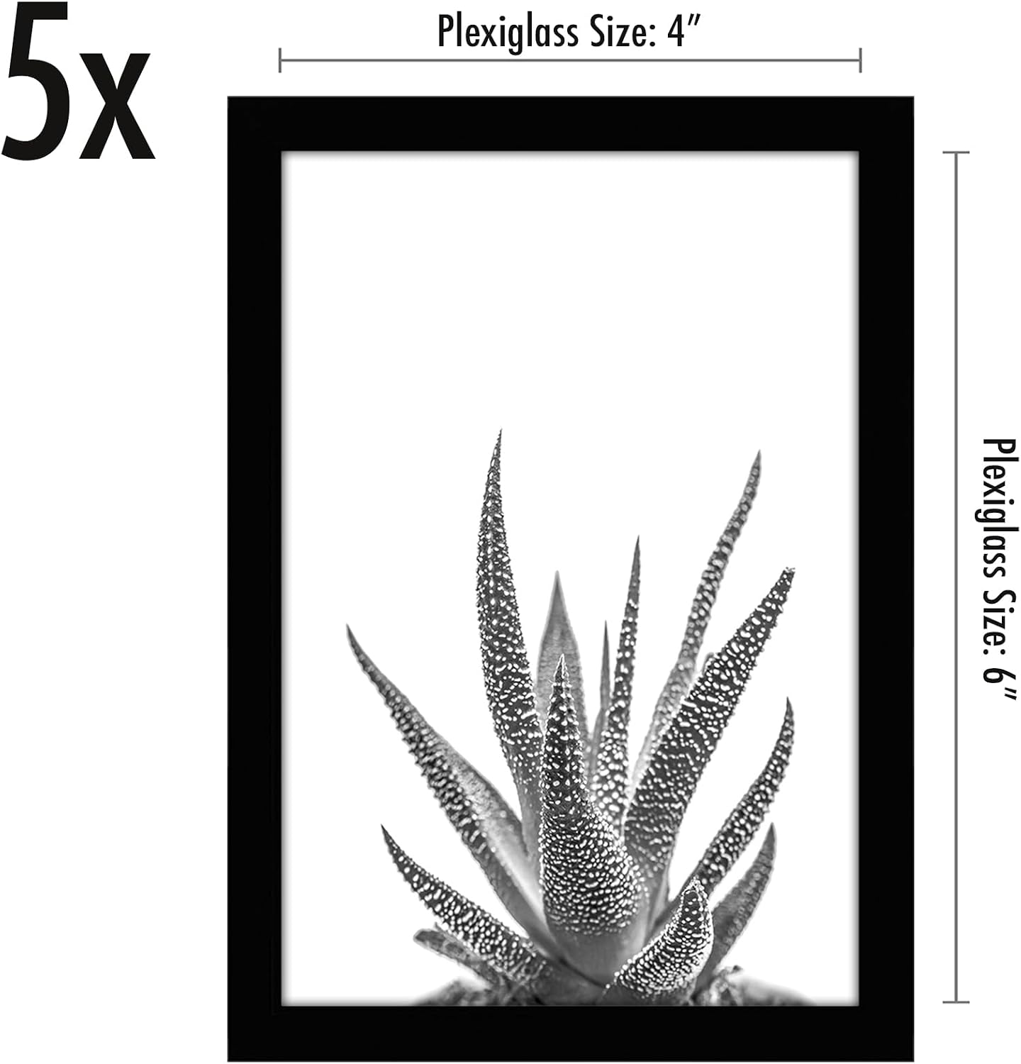 Picture Frame / Picture Frames for Tabletop / 4 x 6 / Black / Set of 5