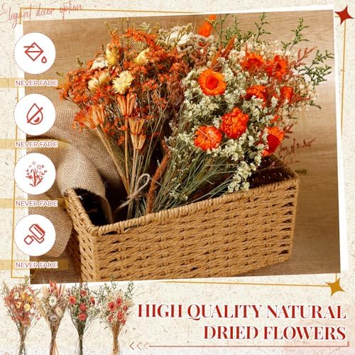 Layhit 4 Pack Large Size Boho Dried Flowers 15-17 Inch, Gerbera Daisy
