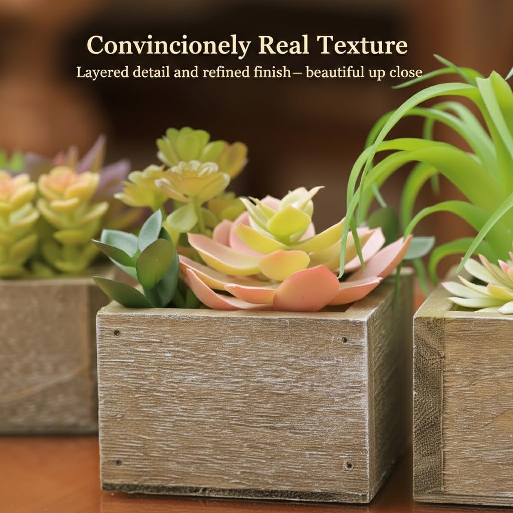Mini Potted Greenery in Rustic Wood Planters / Organic / Set of 3