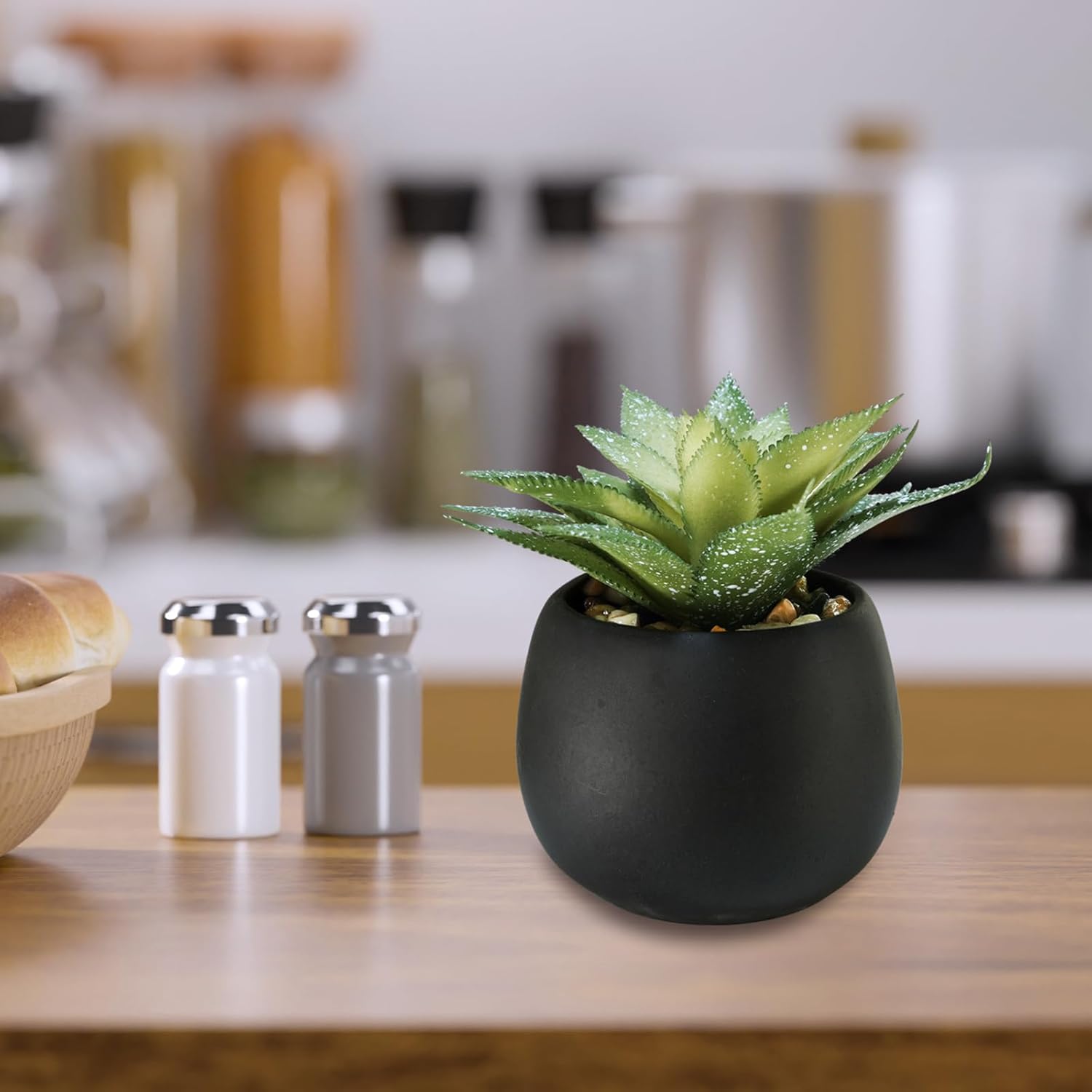 Artificial Succulents Plants in Black Cement Planters Faux Potted / Black Cement Pots / Set of 3