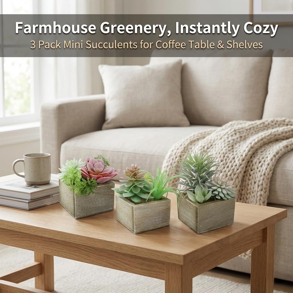 Succulent Plants Artificial / Symphony / Set of 3