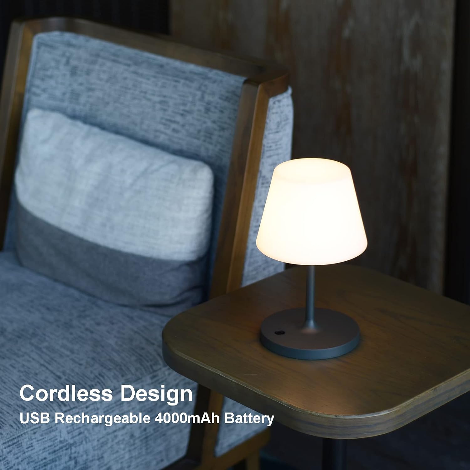 Rechargeable Outdoor Lamp, IP44 Waterproof Touch Dimmable LED Light | 4000mAh battery, 2700K warm light with PE shade
