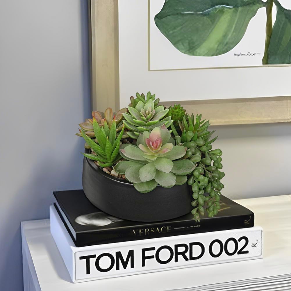 Artificial Succulent Plants in Pot Fake Succulents Arrangement / Black Ceramic#style 2 / 5.5 Inch