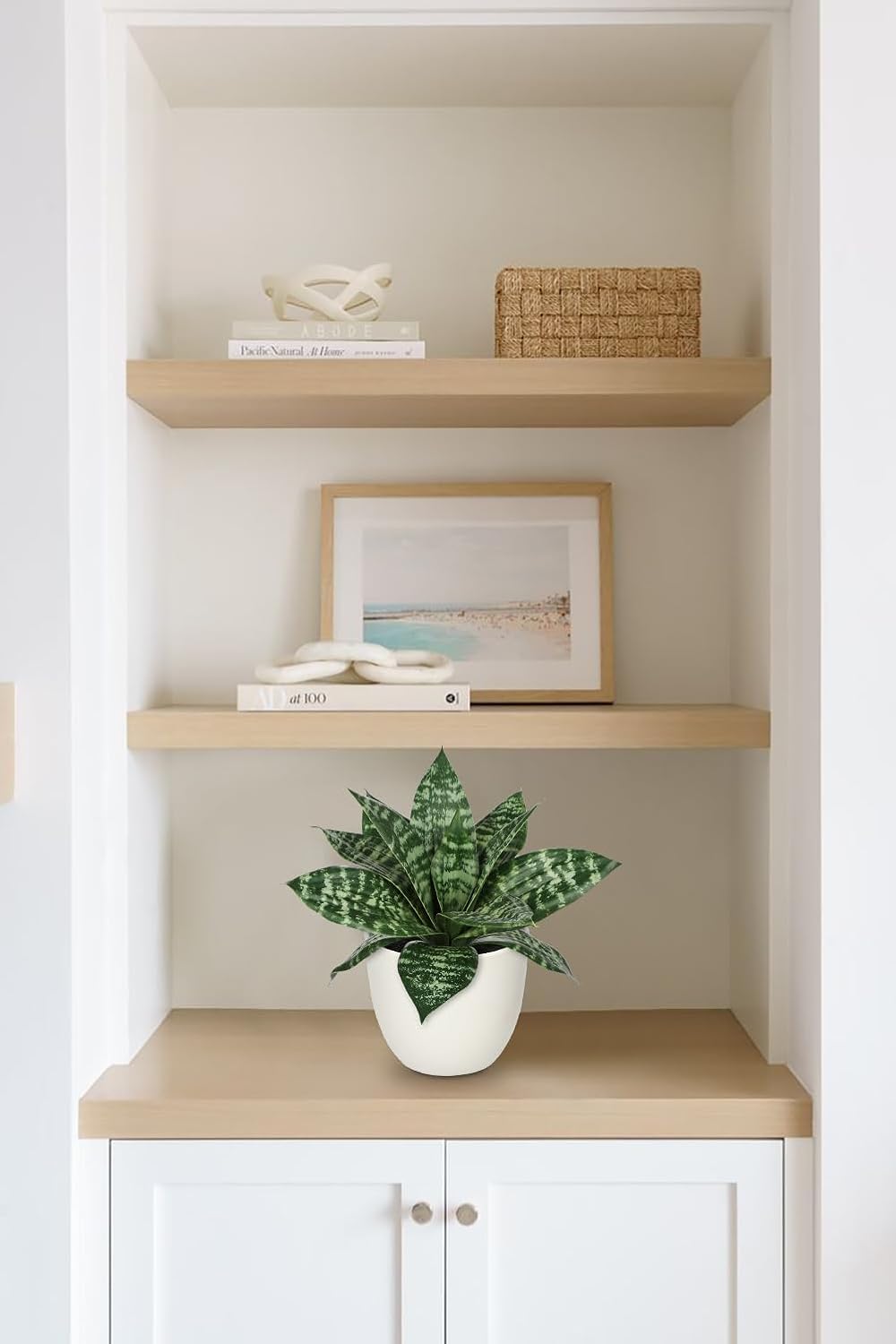Artificial Snake Plants 9" Faux Agave Succulent Plant Potted in White Pot Fake / Green #4-white Pot