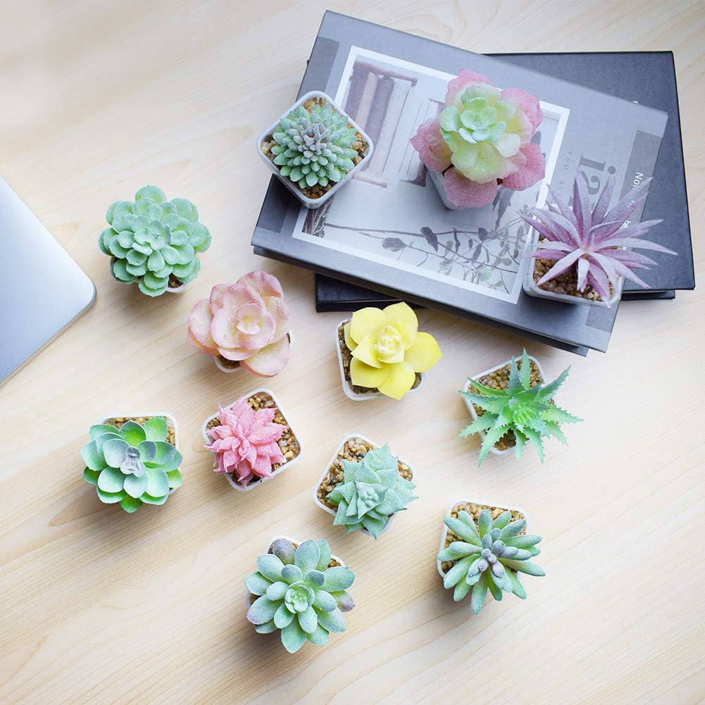 Artificial Faux Succulents in Pots Fake Plants Plastic Arrangement Planter Small Mini / White-12
