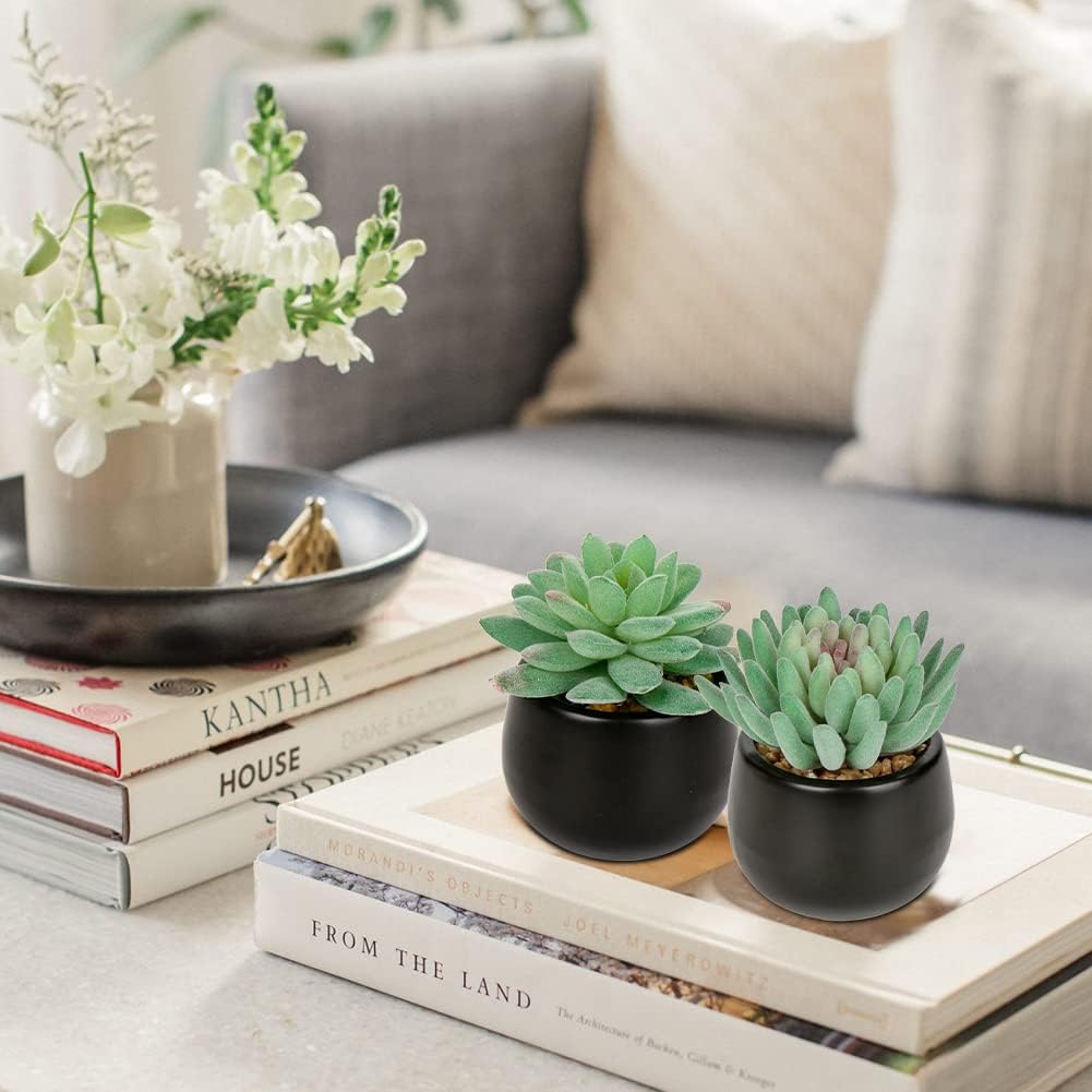 Artificial Succulents Fake Plants Mini Succulents Potted in Ceramic / Type / Black / Set of 3