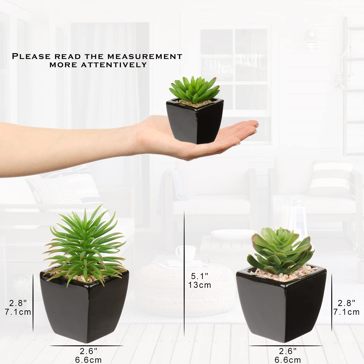 Small Succulents Artificial Faux Succulents in Pots Fake Succulent Plants / Black Ceramic / Set of 3