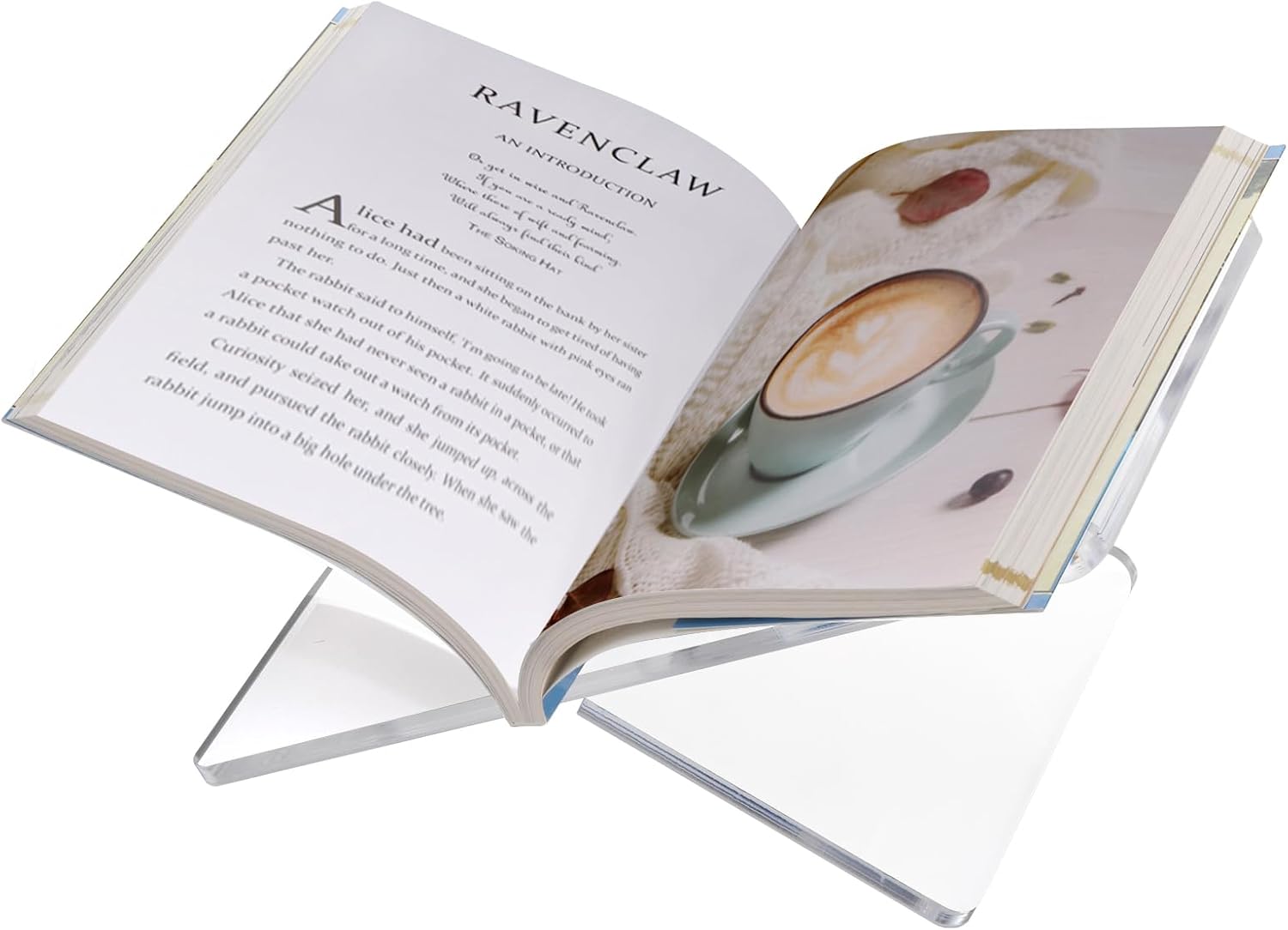 Acrylic Book Holder / Clear