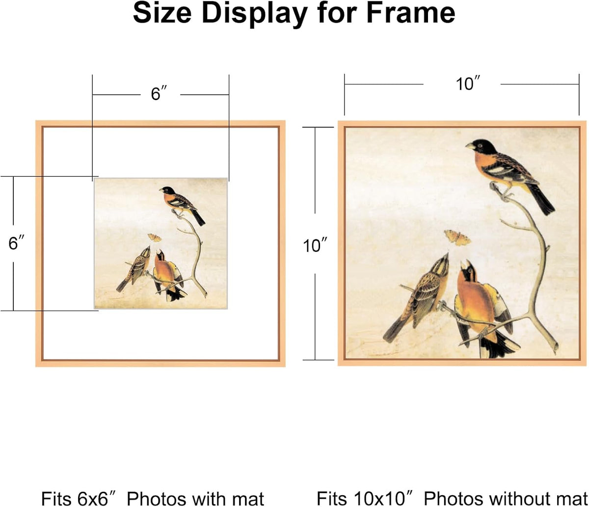 BKABOT 10x10 Gold Aluminum Picture Frame Fits 6x6 with Mat HD Glass 3 Pack | Thin brushed aluminum picture frames