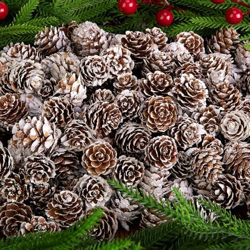 700 Pcs Christmas Natural Mini Pine Cones - Small Xmas Snow Pinecones Decor