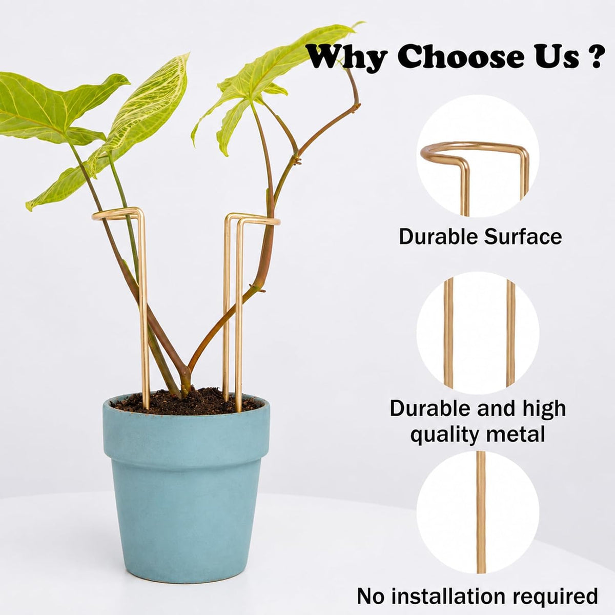 8.7 Inch Indoor Plant Trellis 10 Pack Small Gold Plant Supports | Plant Support Stakes for Indoor & Outdoor Plants