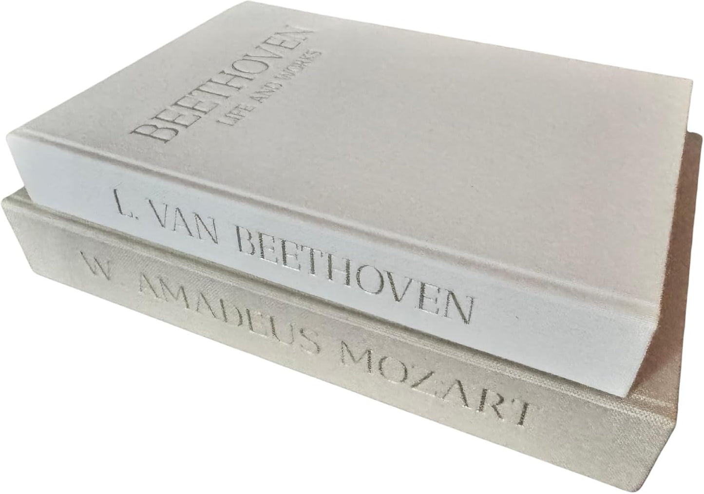 Decorative Books / Beige and White / Set of 2