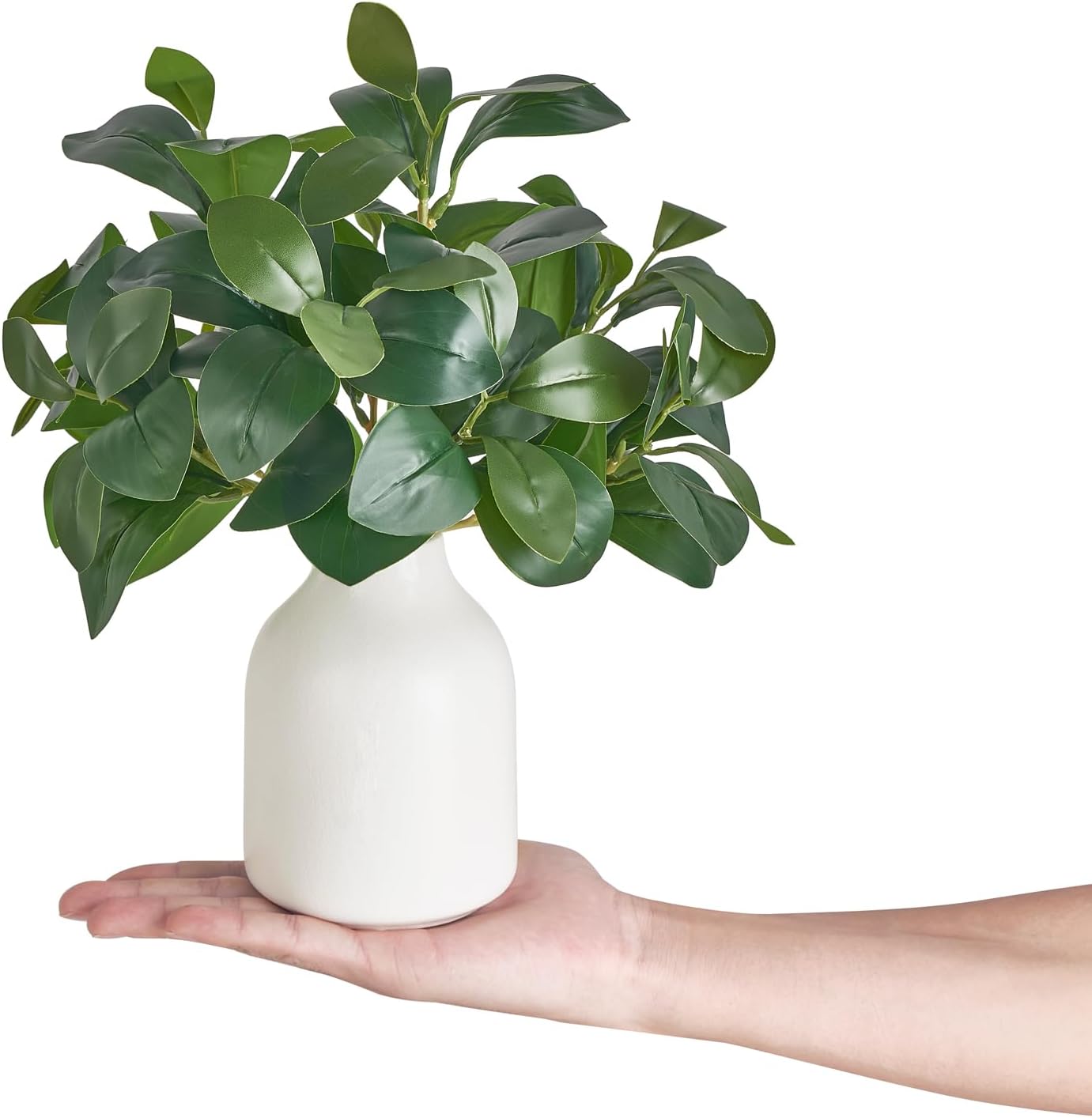 Fake Plants in Small Ceramic Vase Realistic Artificial Faux Plants Indoor Modern / White / 10 Inch