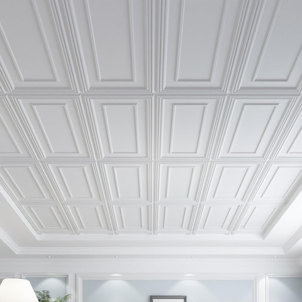 Drop Ceiling Tiles / 24 x 48 / White / Set of 12
