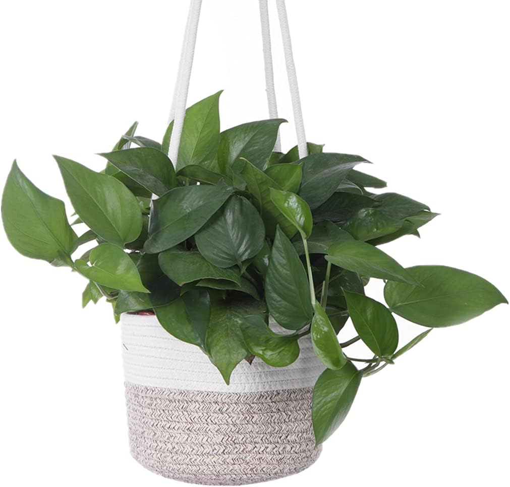 Hanging Planter Basket Jute Rope Woven Plant Hangers Indoor Hanging Plant Holder Up / White & Brown