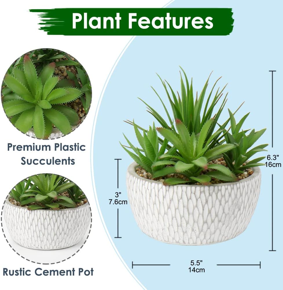 Small Fake Plants Assorted Faux Succulents in Pots Realistic Succulents Plants / Succulent #01