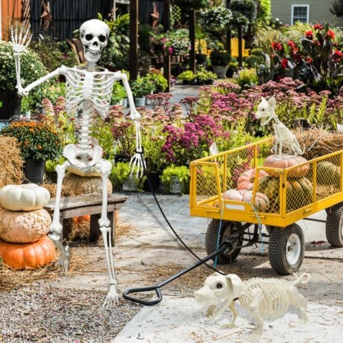5.4ft Halloween Full Size Skeleton with Dog Cat for Haunted Party Decor