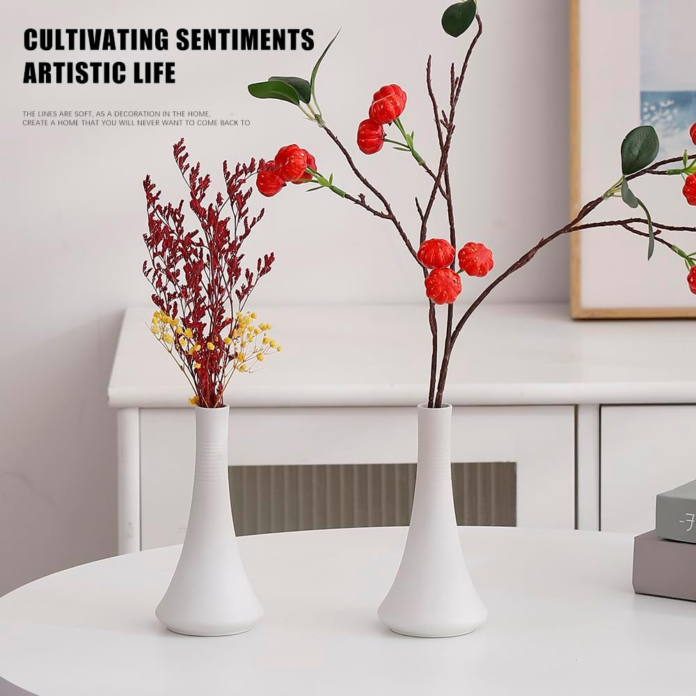 2-Piece Matte Ceramic vase Set / White