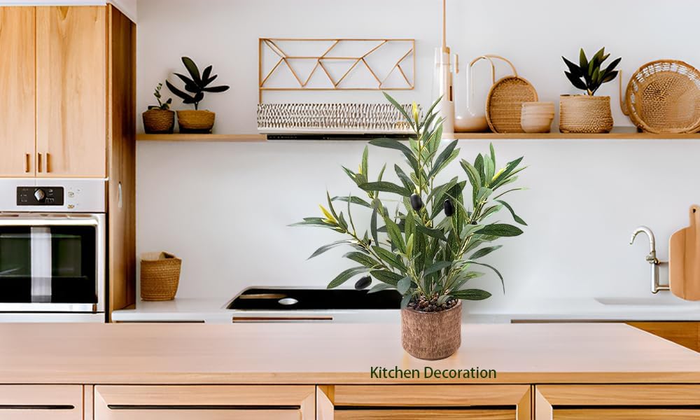 Indoor Fake Olive Plant Faux Silk Leaves / Plant A / Black / 12 Inch