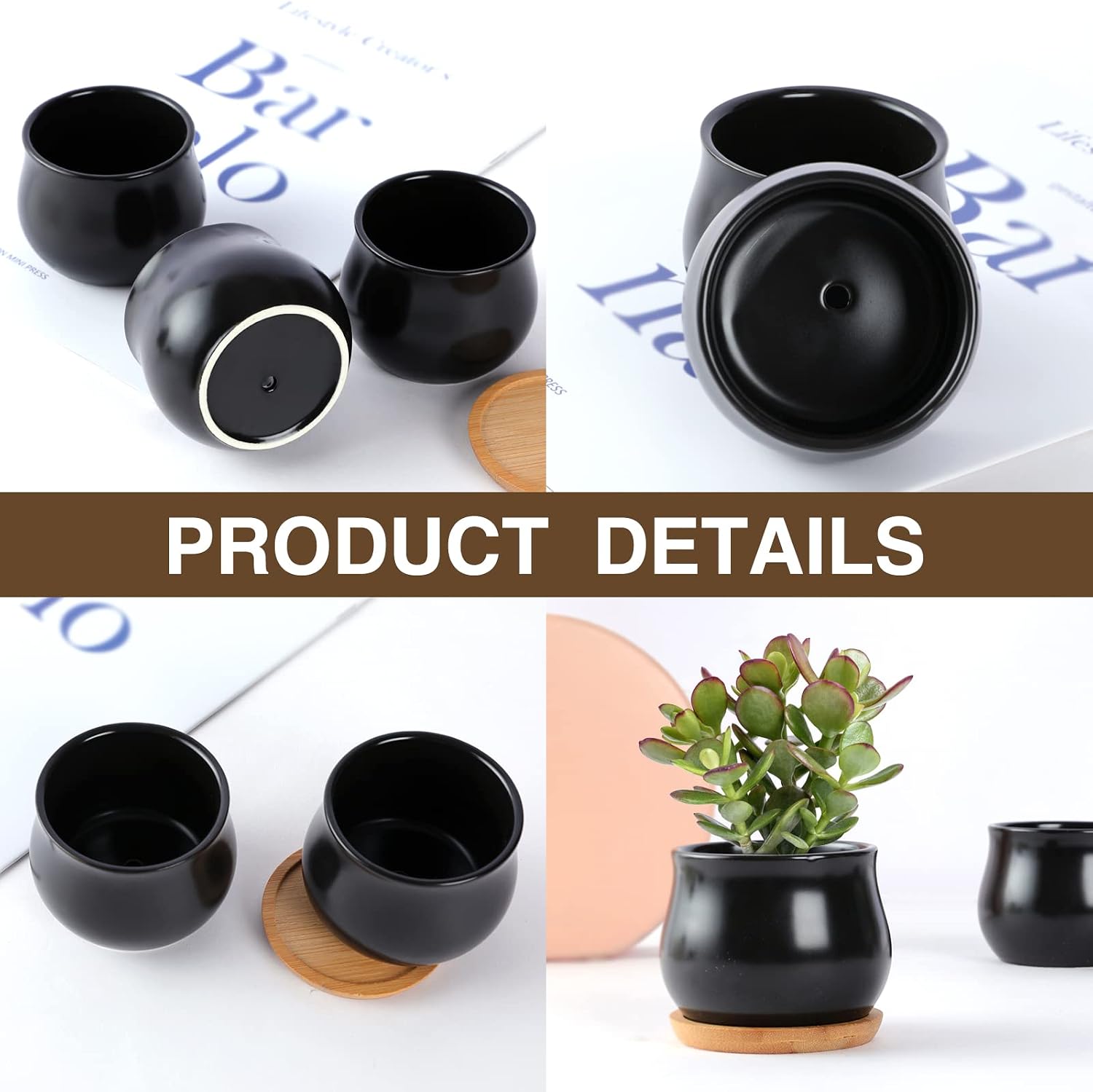 Matte Mini Ceramic Flower Planter Pot / Black / 2.6 Inch / Set of 8