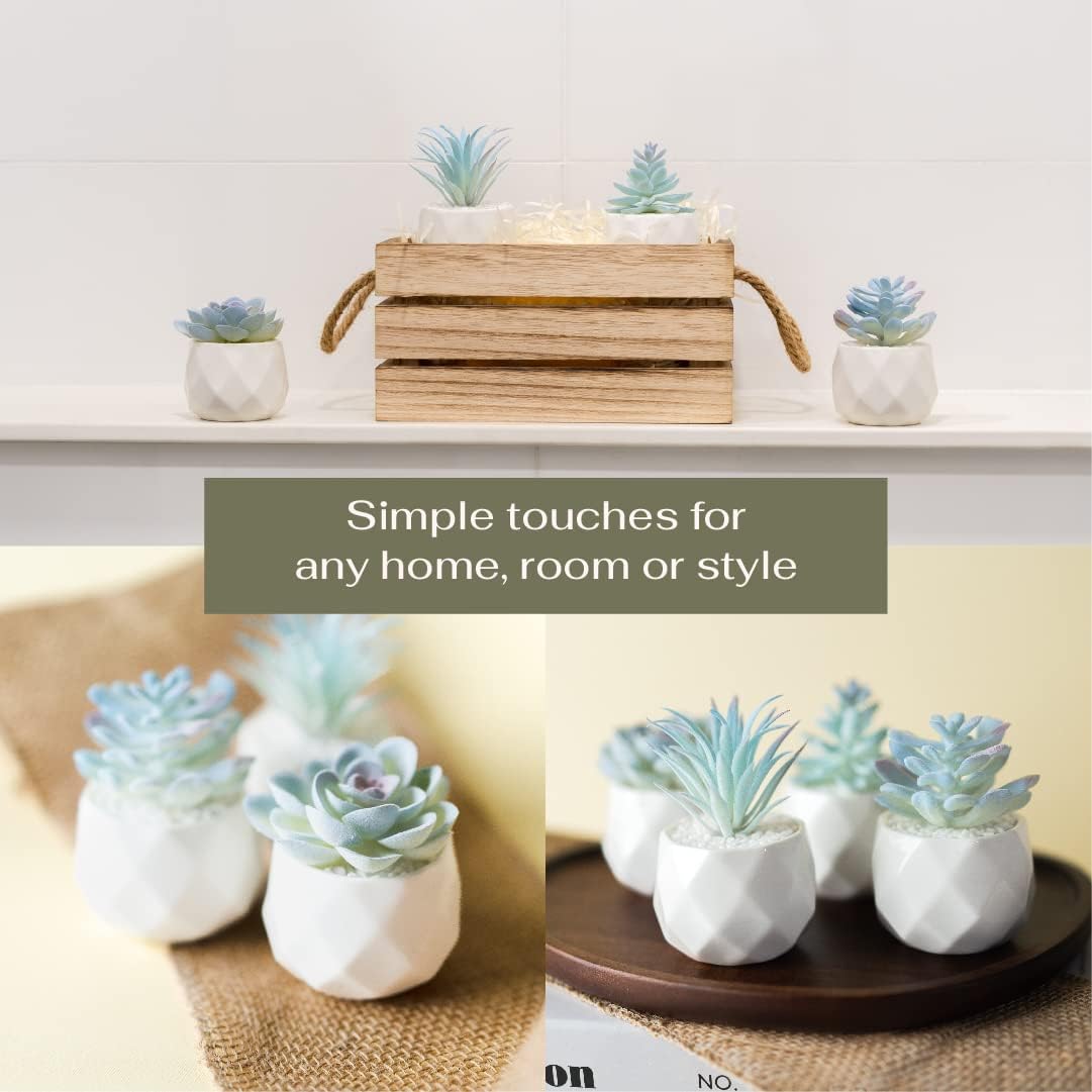 Mini Artificial Succulent in Pots Fake Plants / Blue / Ceramic