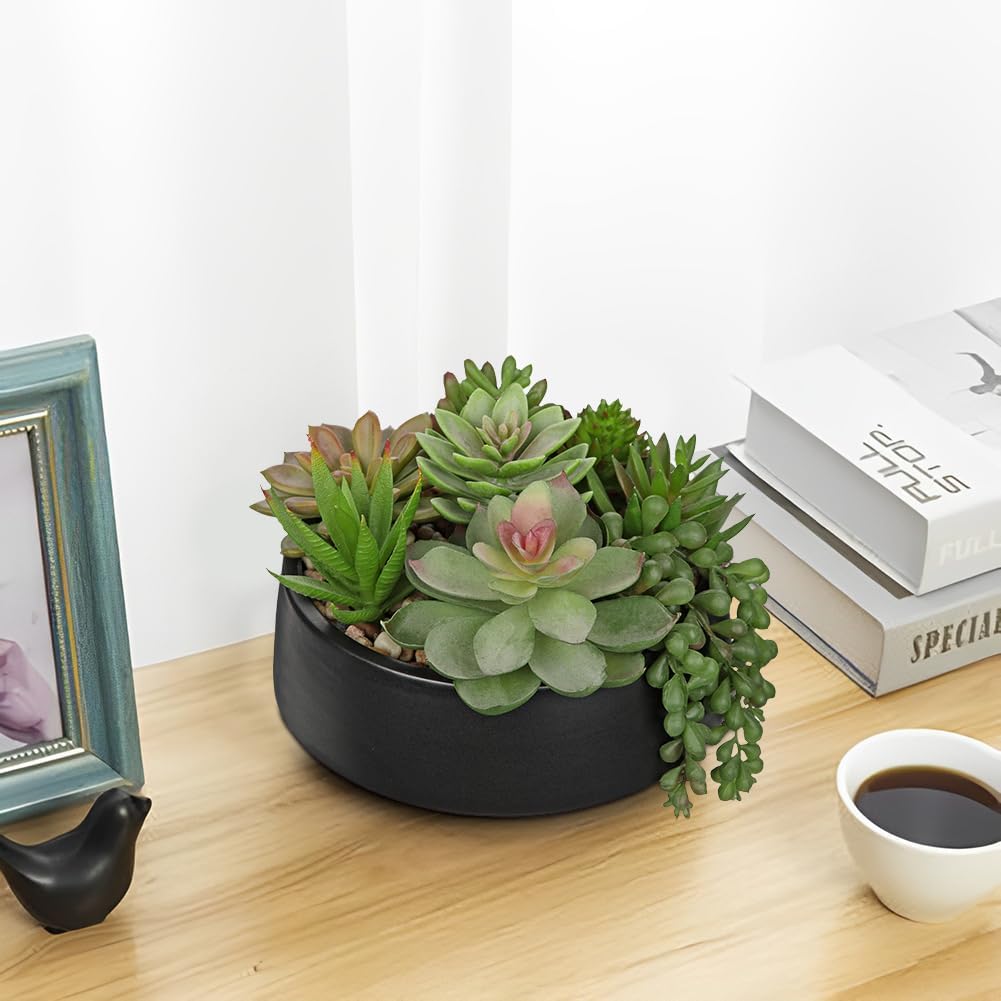 Artificial Succulent Plants in Pot Fake Succulents Arrangement / Black Ceramic#style 2 / 5.5 Inch