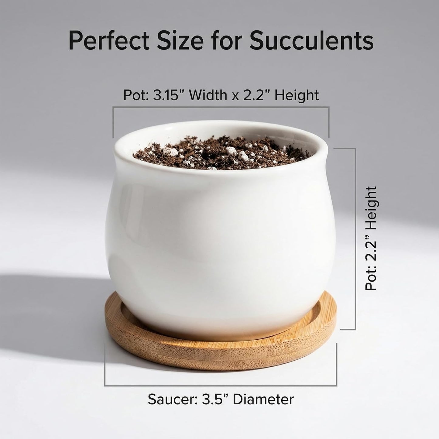 Mini Ceramic Flower Planter Pot / White / 2.6 Inch / Set of 8