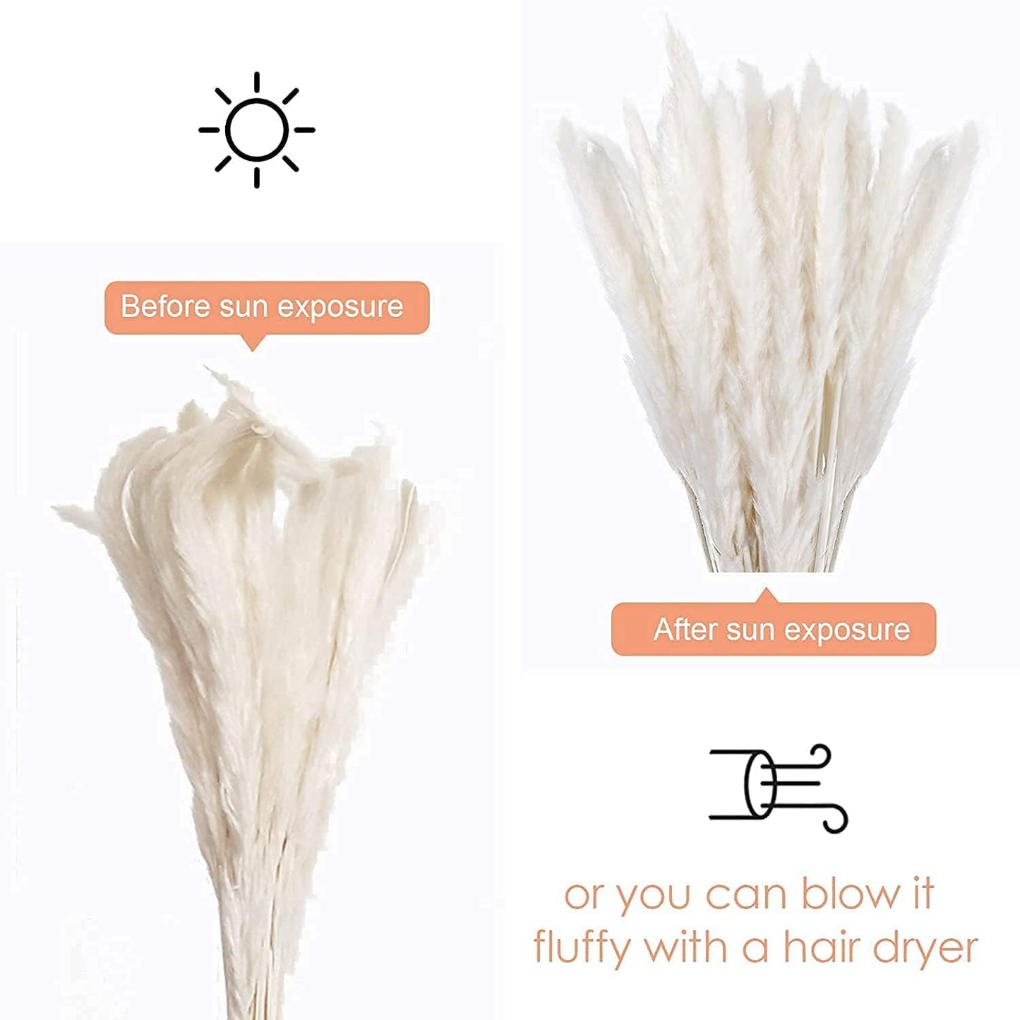 /45 cm Natural Dried Pampas Grass Branches Decor / White-pro / 17 Inch / Set of 60