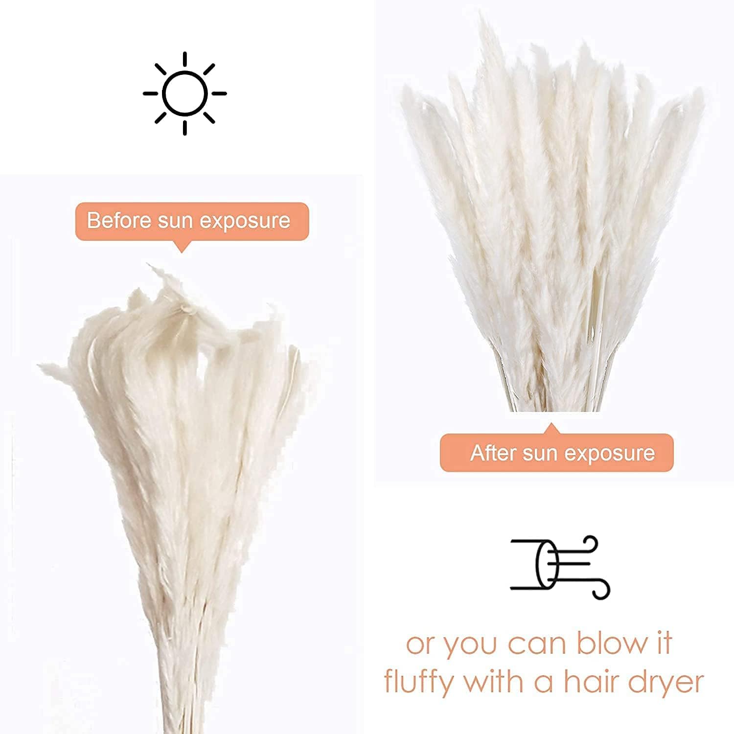 /45 cm Natural Dried Pampas Grass Branches Decor / White-pro / 17 Inch / Set of 60