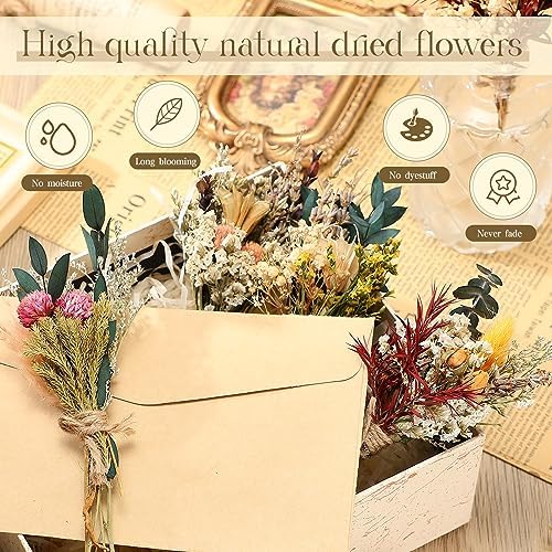 Layhit 12 Pcs Mini Dried Flower Bouquet Boho for Wedding,Bright