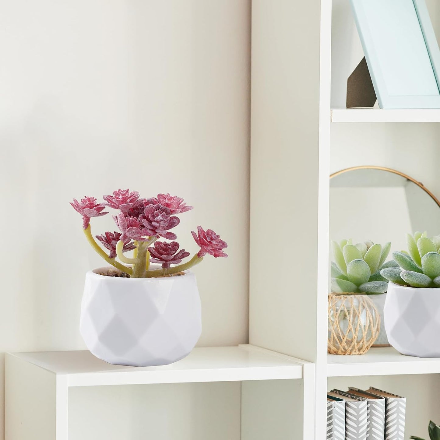 Succulents Plants Artificial in Plastic Pots / White / Set of 4