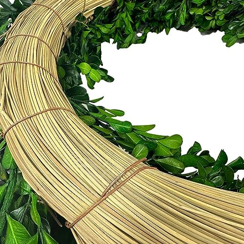 Galt International 21" Naturally Preserved Boxwood Fall Wreath – Fall, Thanksgiving & Christmas Front Door Decoration, Year Round Holiday Home Décor Accent