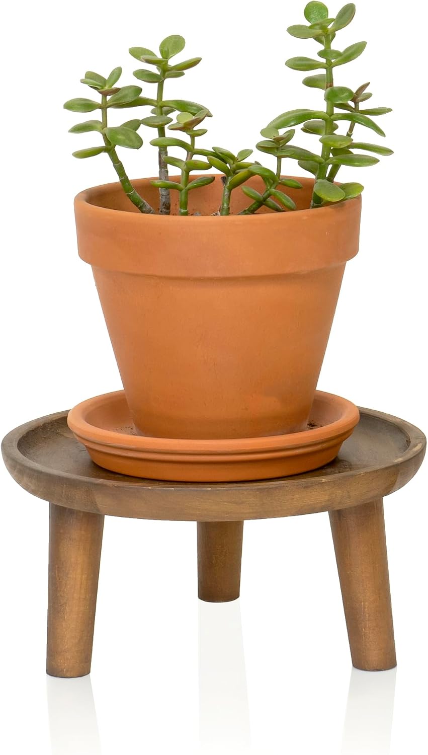 8.75" Dia Round Decorative Wooden Pedestal Plant Stand / Natural