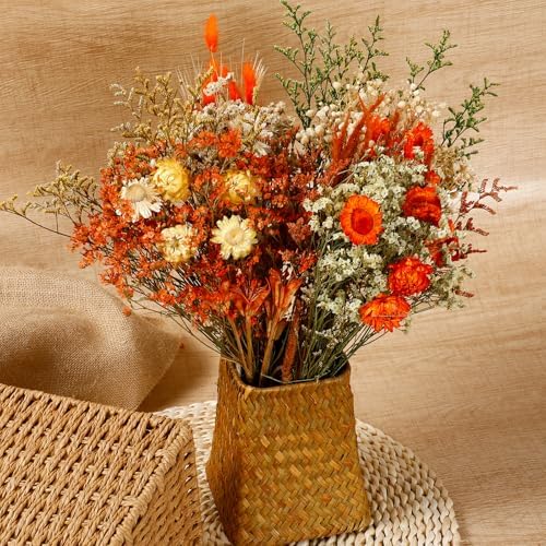 Layhit 4 Pack Large Size Boho Dried Flowers 15-17 Inch, Gerbera Daisy