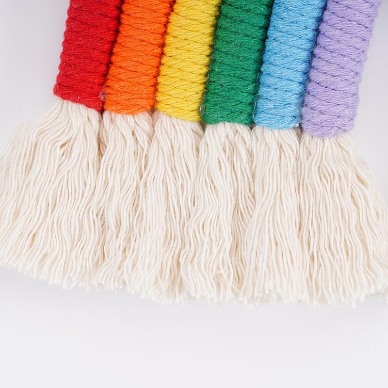 Rainbow Macrame Wall Hanging / Red Rainbow
