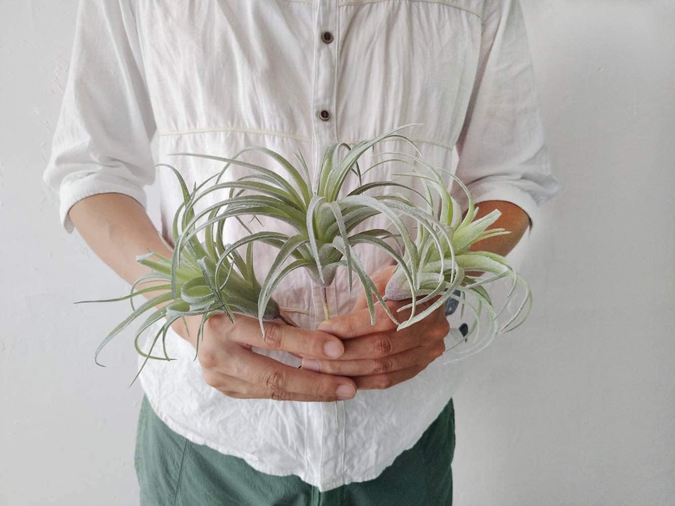 Artificial Air Plants Faux Succulents Plants Unpotted Small Tillandsia Look Real in Flocked / Green
