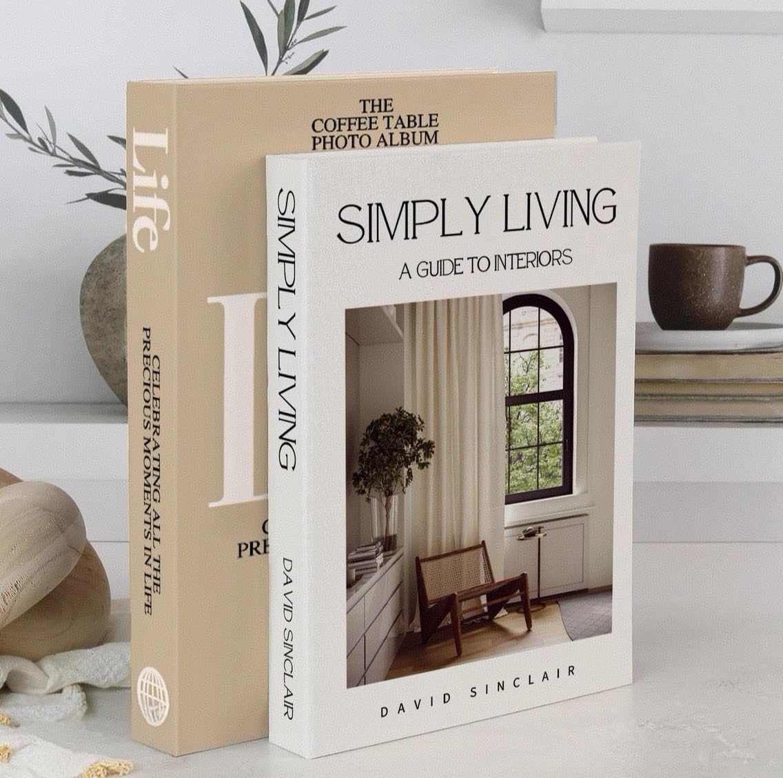 Modern Minimalist Faux Book / E1 / Set of 2