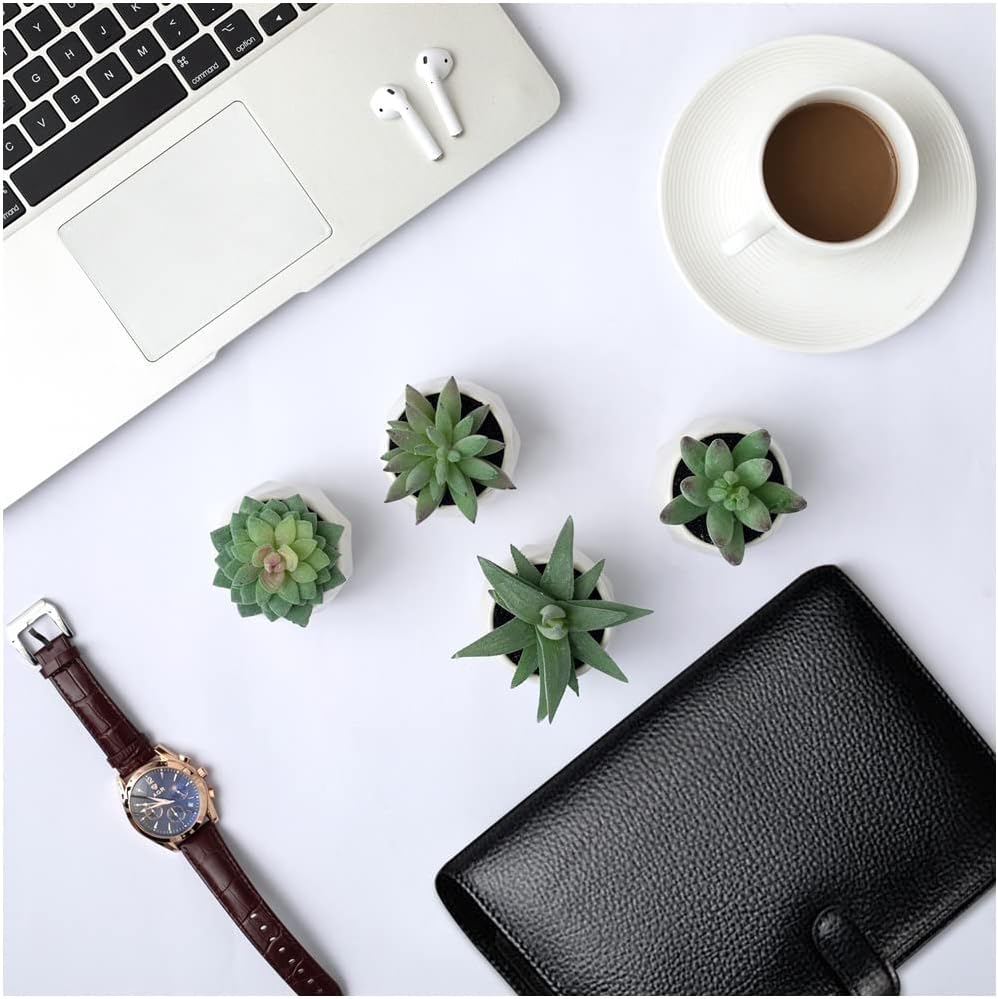 Artificial Plants for Women Desk