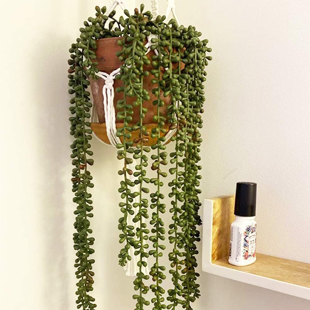 Artificial Fake String of Pearls Plant Faux Fake Hanging Succulents Plants / Green / Set of 6