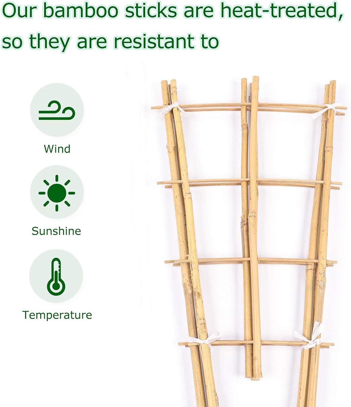 Cambaverd Bamboo Trellis, 24in Fan-Shaped Trellis for Potted Plants 3 Pack | Natural Small Plant Trellis for Climbing
