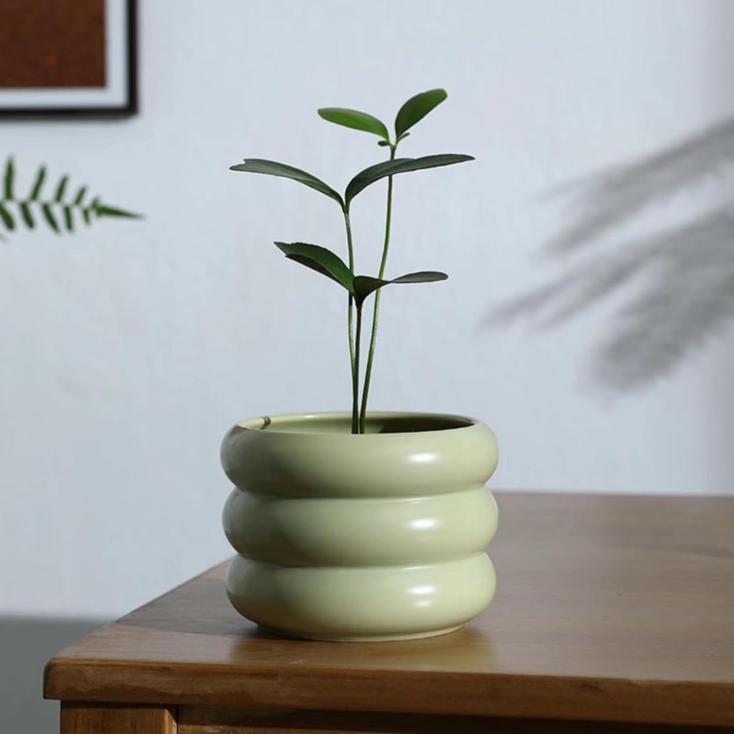 Ceramic Plant Pot Indoor / Green / 6.5inch