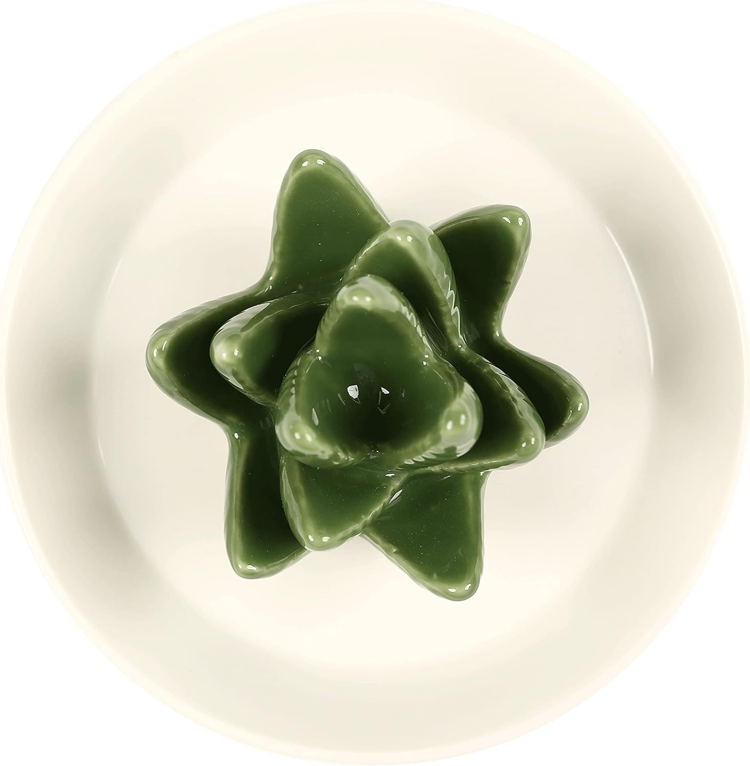 Ceramic Aloe Ring Holder / Cacti
