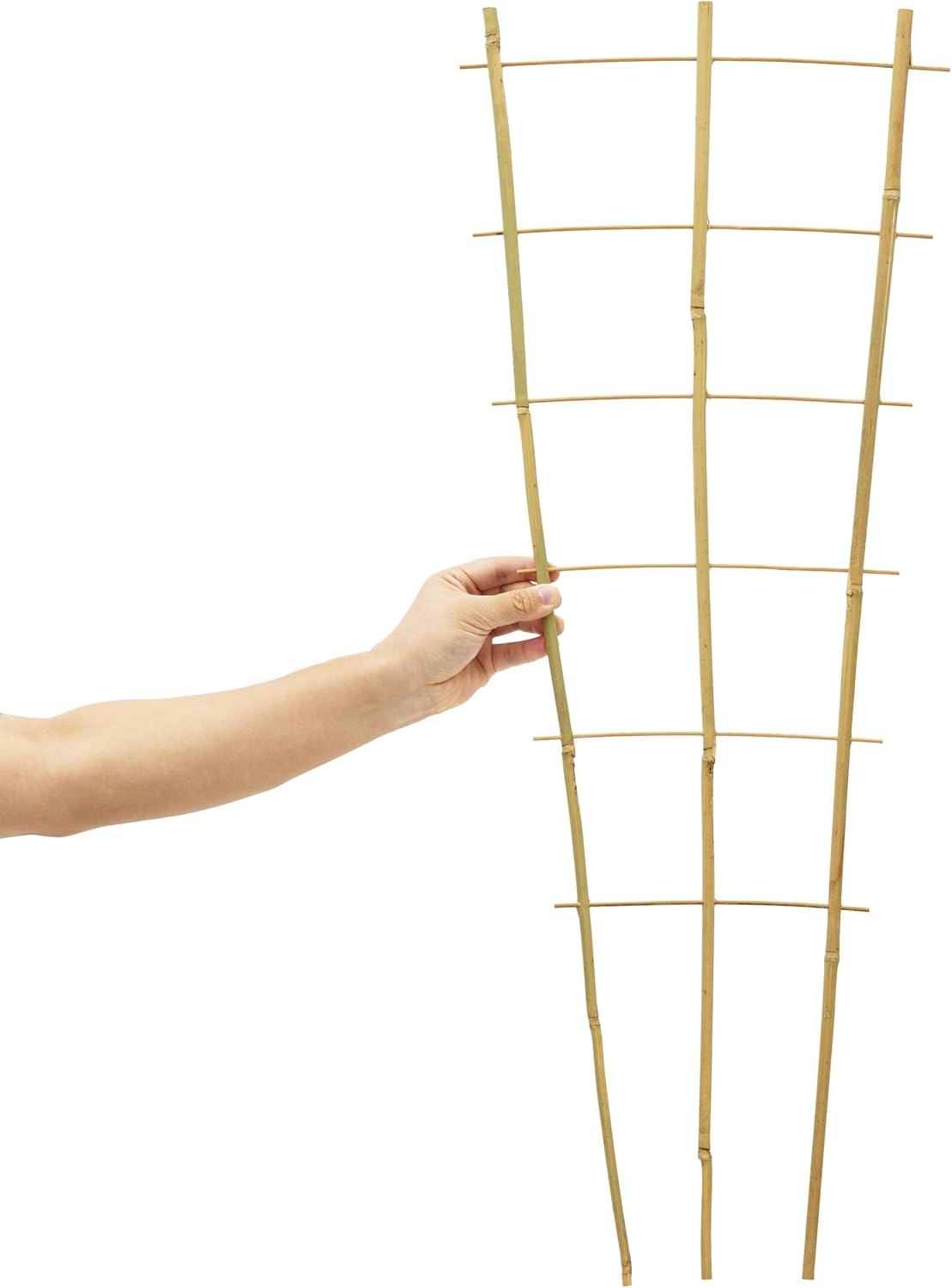 10 Pack 3 Feet Natural Bamboo Trellis, Fan-Shaped Bamboo Plant Trellis for Climbing Plants, Vegetables, Cucumber