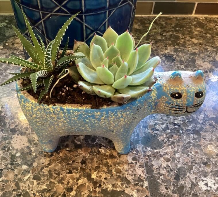 Retro Ceramic Cat Shape Succulent Plant Pot Cat Planter Decorative Soap Saver Tray Bathtub Sink