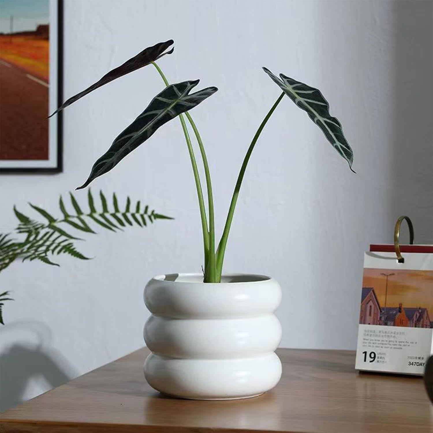 Ceramic Plant Pot Indoor / White / 6.5inch