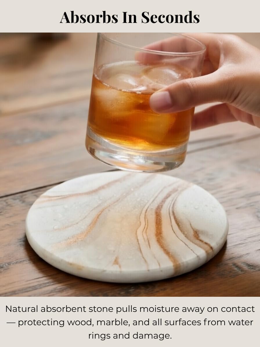 Holder / Absorbent Stone Coasters / Set of 6