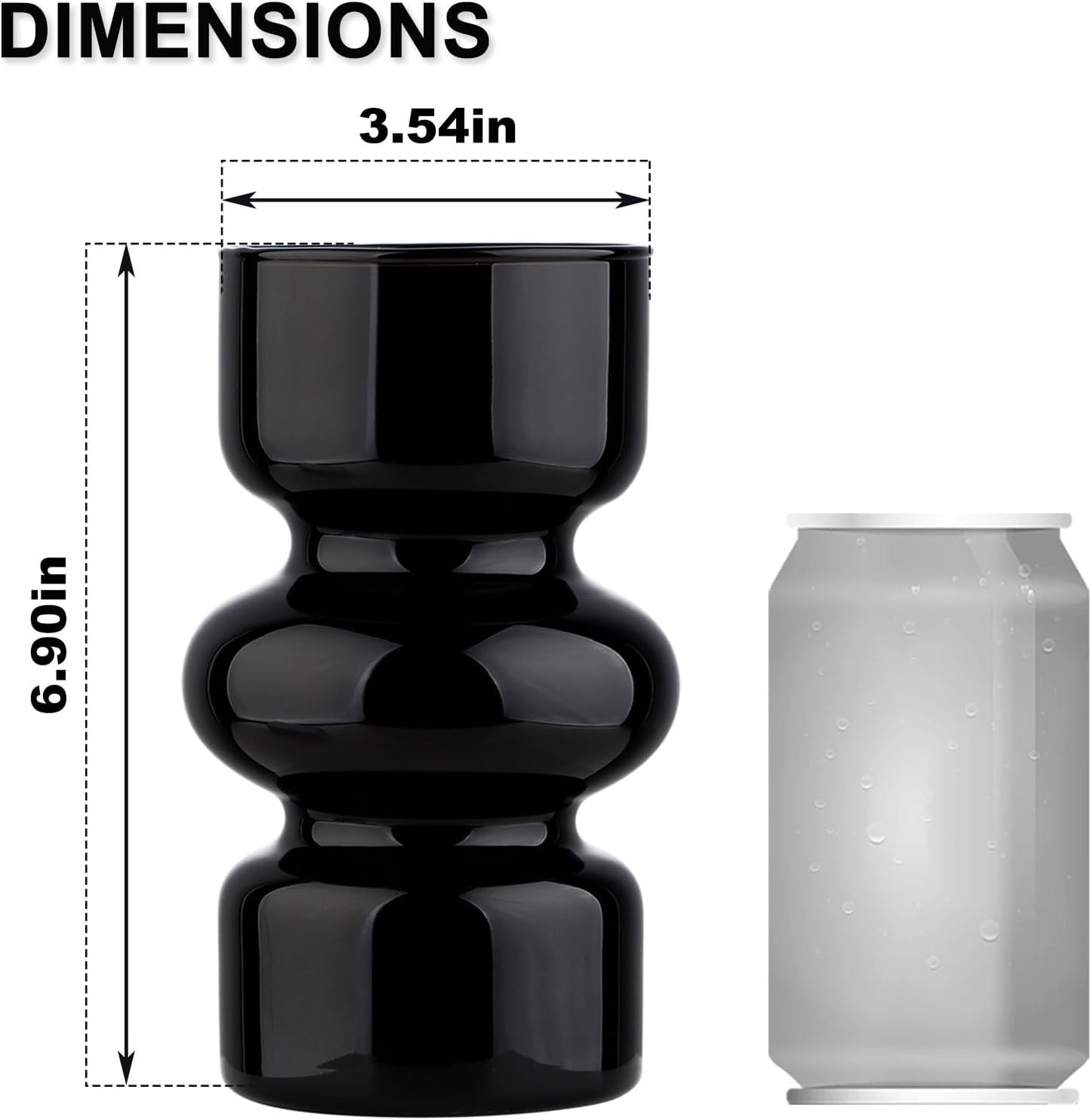 Glass Hydroponic Vase / Black / 7 Inch